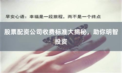 股票配资公司收费标准大揭秘，助你明智投资
