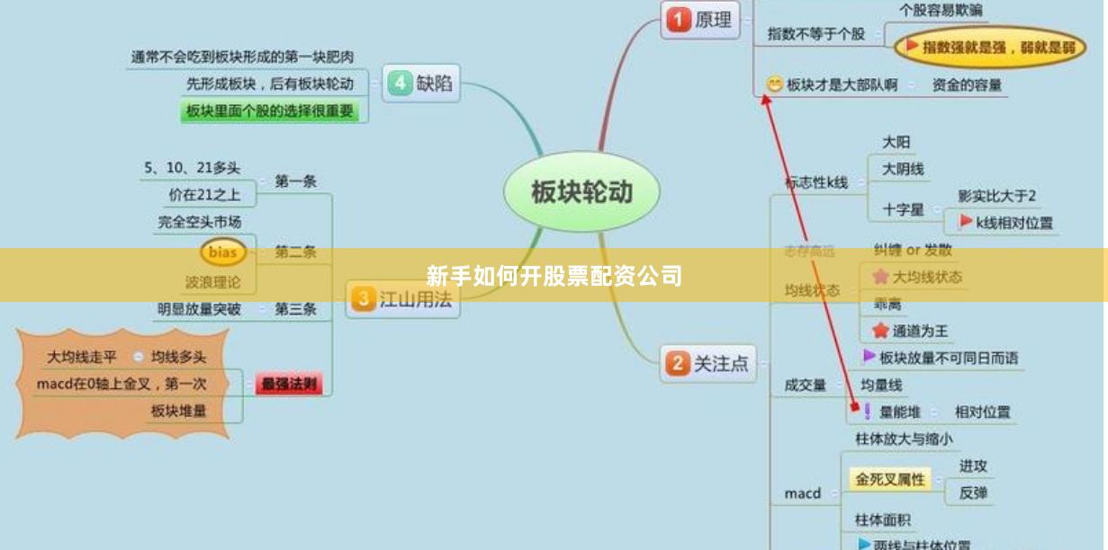 新手如何开股票配资公司