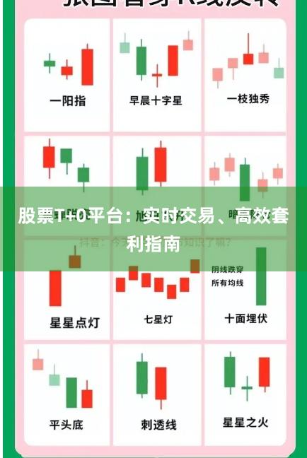 股票T+0平台：实时交易、高效套利指南