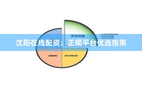 沈阳在线配资：正规平台优选指南
